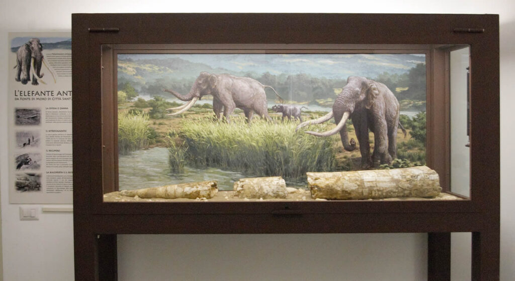 L’ELEFANTE ANTICO